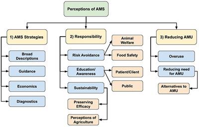 Perceptions of antimicrobial stewardship: identifying drivers and barriers across various professions in Canada utilizing a one health approach